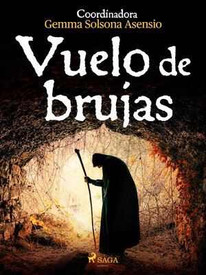 cover image of Vuelo de brujas